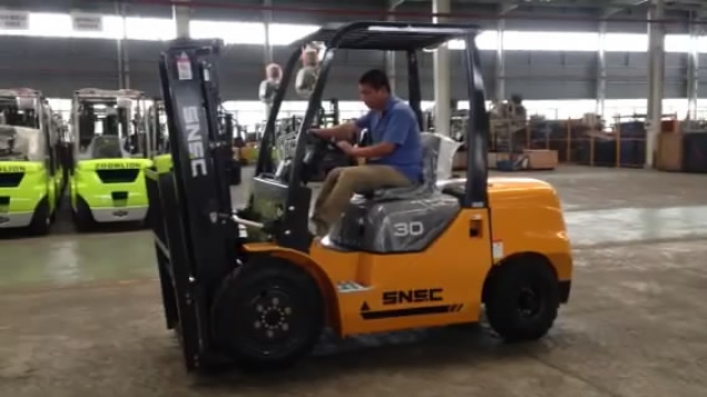 SNSC FD30 Diesel Forklift to ALGERIA