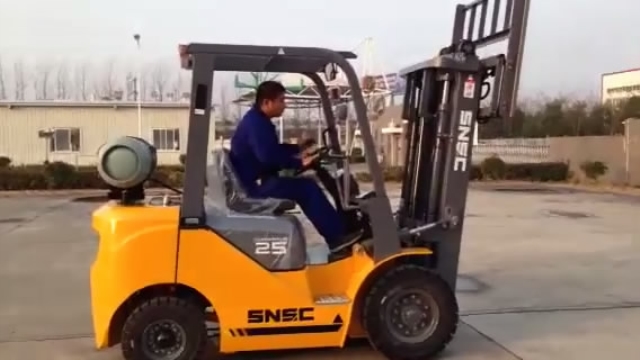 SNSC FL25 LPG GASOLINE Forklift to AUSTRILIA